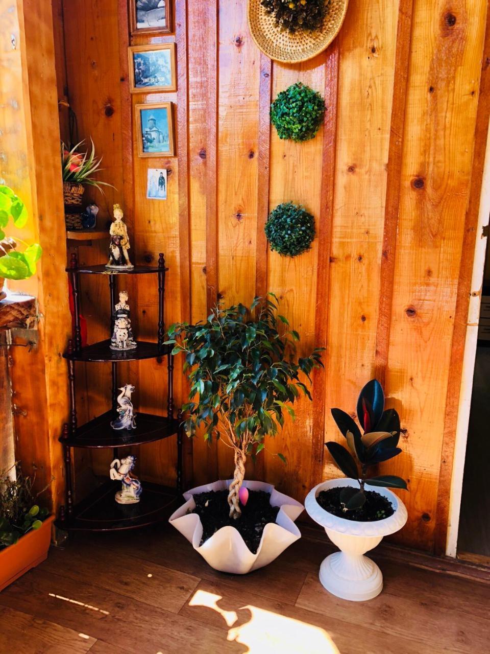 Travel Inn House Mestia • Მოგზაურის Სახლი Εξωτερικό φωτογραφία